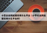 小型企业网站建设用什么平台（小型企业网站建设用什么平台好）