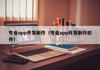 专业app开发制作（专业app开发制作软件）