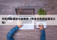 手机网站建设行业现状（专业手机网站建设公司）