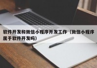 软件开发和微信小程序开发工作（微信小程序属于软件开发吗）