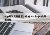 app开发流程是怎么样的（一款app的开发流程）