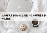 软件开发属于什么行业结构（软件开发是属于什么行业）